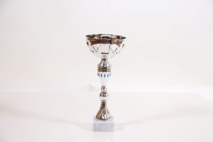 Coppa total silver h28 d12